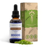 Secrets of the Tribe Capsella Bursa-Pastoris Herbal Supplement front view