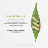Secrets of the Tribe Chamomile Herbal Supplement side view