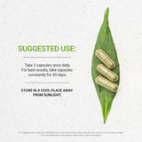 Secrets of the Tribe Cleavers Capsules back view with ingredient list