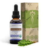 Secrets of the Tribe Dandelion Extract liquid supplement front view