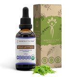 Secrets of the Tribe Evening Wind-Down Tincture front view