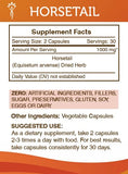 Secrets of the Tribe Horsetail Capsules in a natural setting