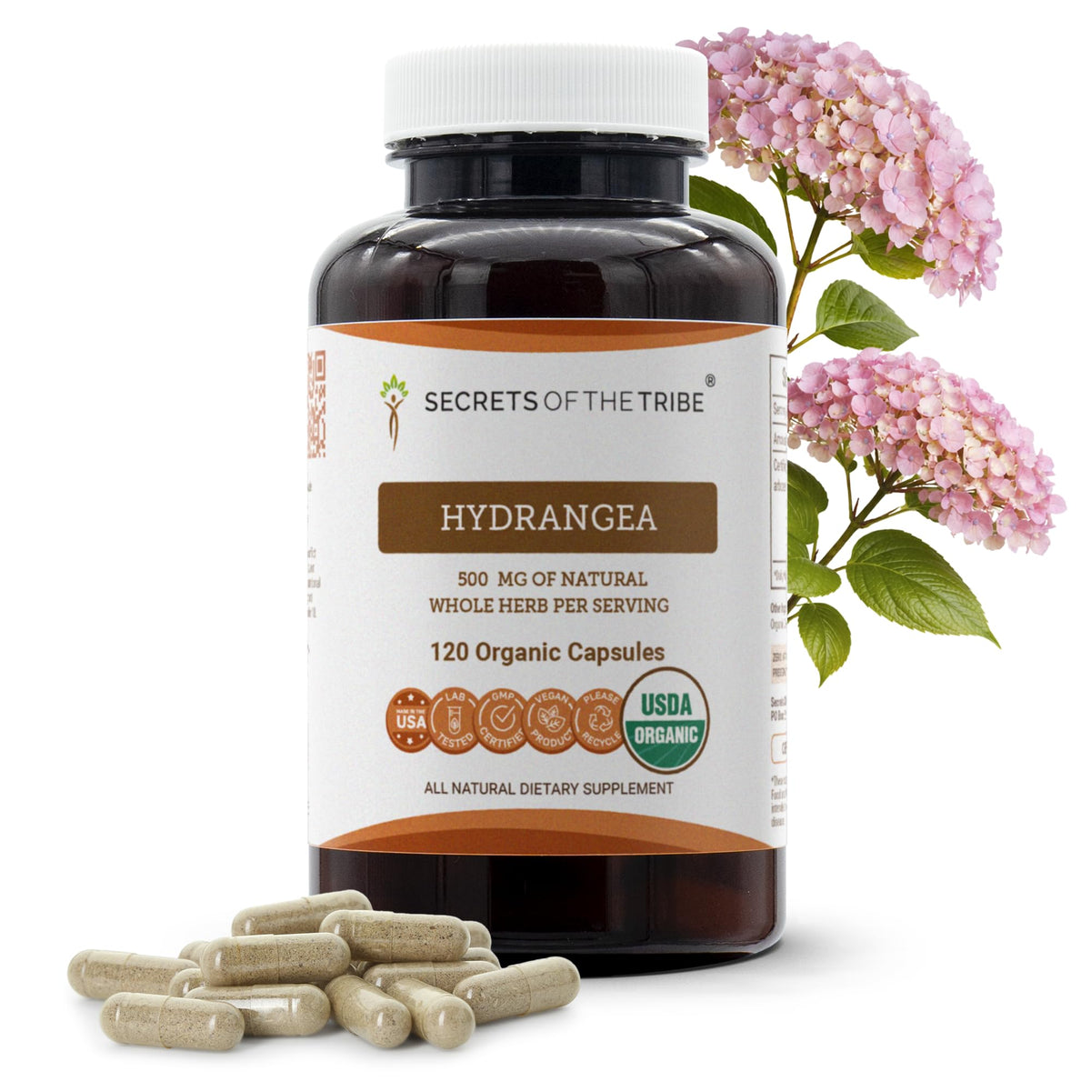 Secrets of the Tribe Hydrangea Dried Root Organic Capsules front view