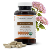 Secrets of the Tribe Hydrangea Dried Root Organic Capsules front view