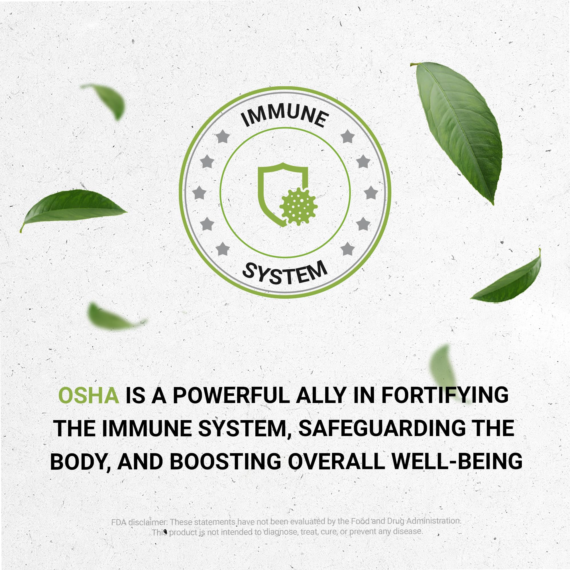 Secrets of the Tribe Osha Root Extract back label details