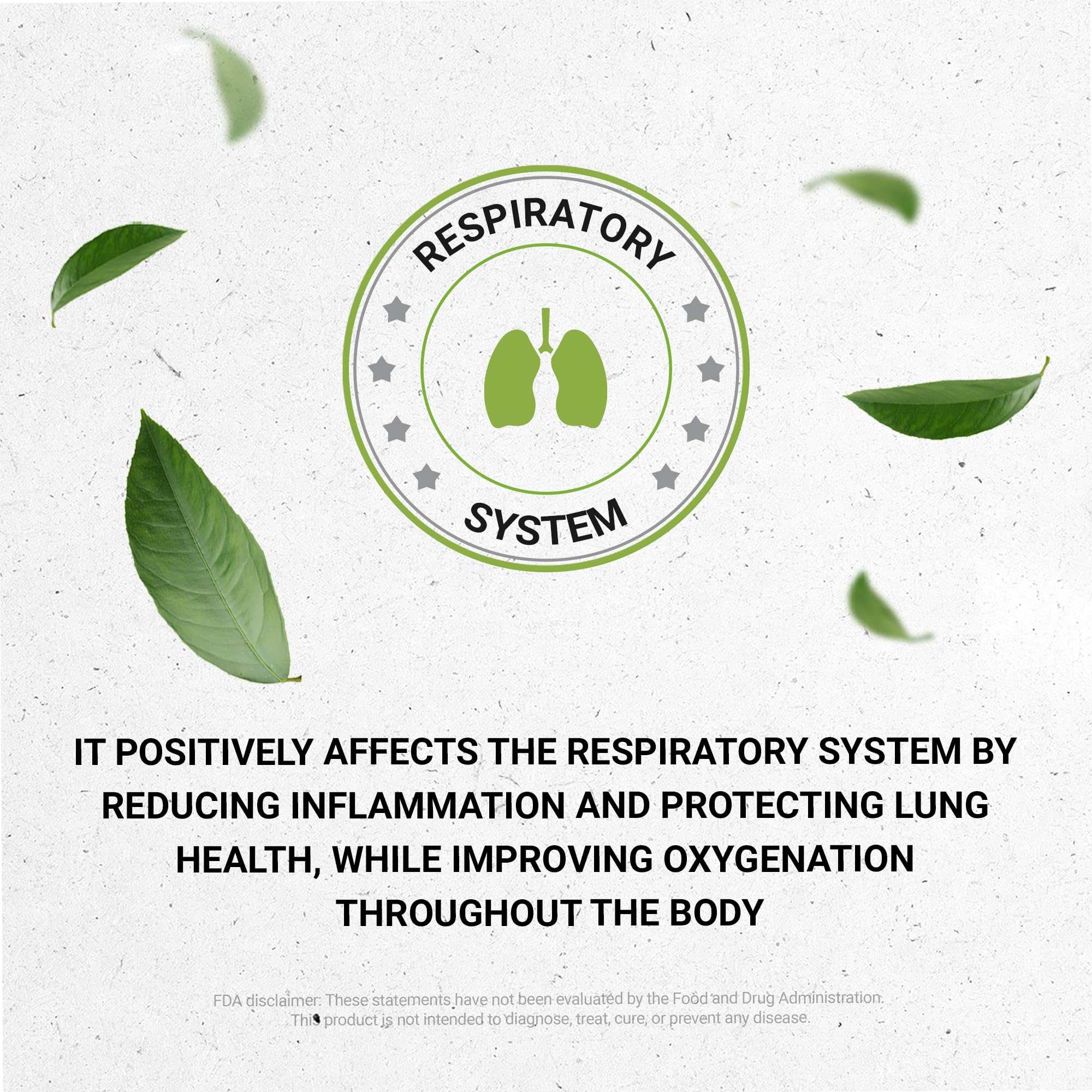 Secrets of the Tribe Osha Root Extract in a lifestyle setting