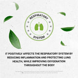 Secrets of the Tribe Osha Root Extract in a lifestyle setting