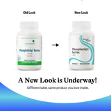 Seeking Health Brain & Memory Support Supplement in a lifestyle setting