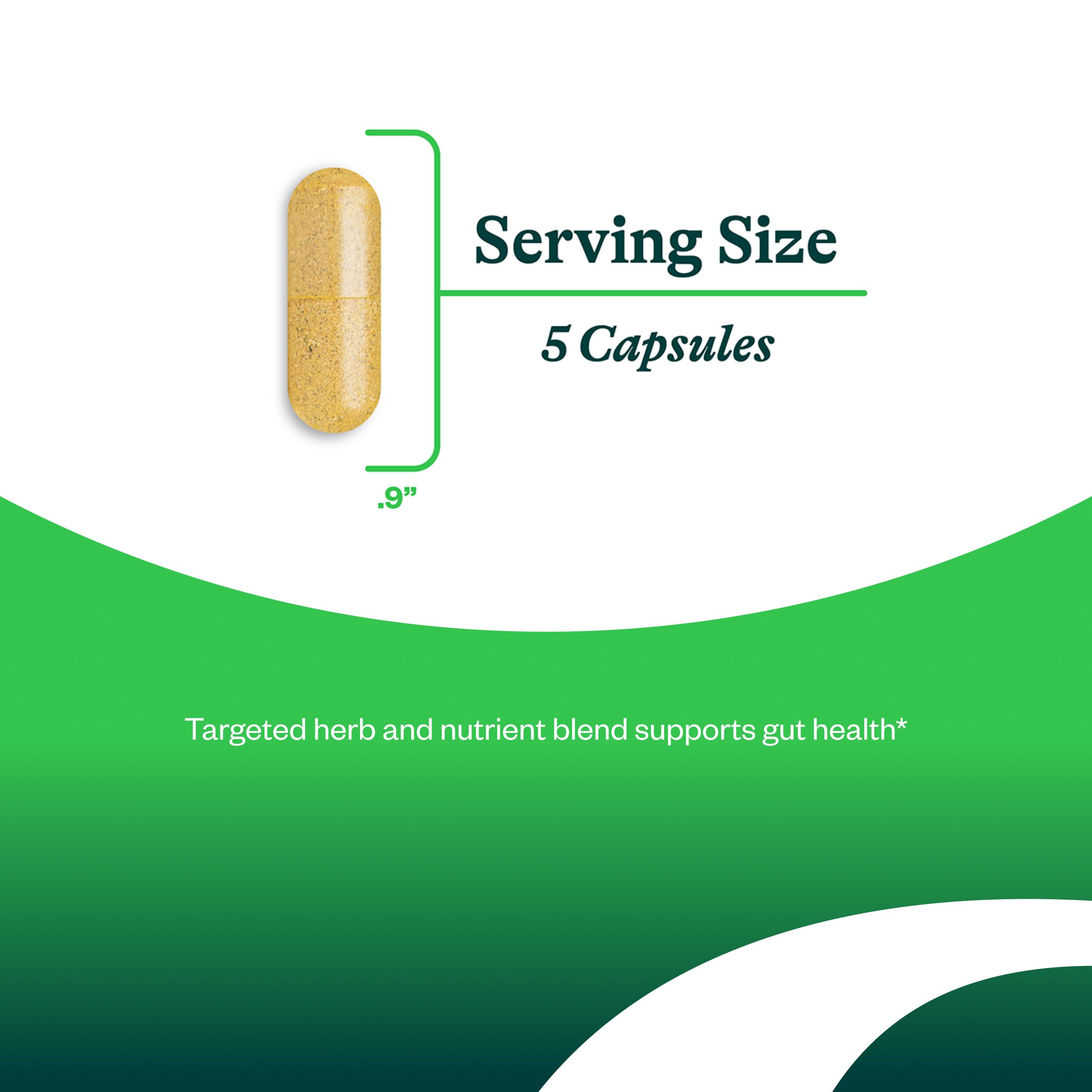 Seeking Health daily Support Supplement ingredients list