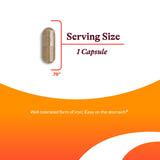 Seeking Health Iron Complex Supplement back view with ingredient list
