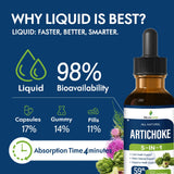 Selvaherb Artichoke Liver Health Supplement 150g liquid tincture in a glass of water