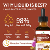 Selvaherb Yellow Dock Root Organic Tincture in a glass of water