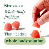 Semaine CortisolCare supplement capsules in a clear container