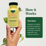 Semaine Prebiotic Capsules side view showing dosage