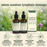 Sentk Lymph Drainage Drops with herbs on wooden table