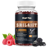 SEPT YAN Shilajit Gummies front view with packaging