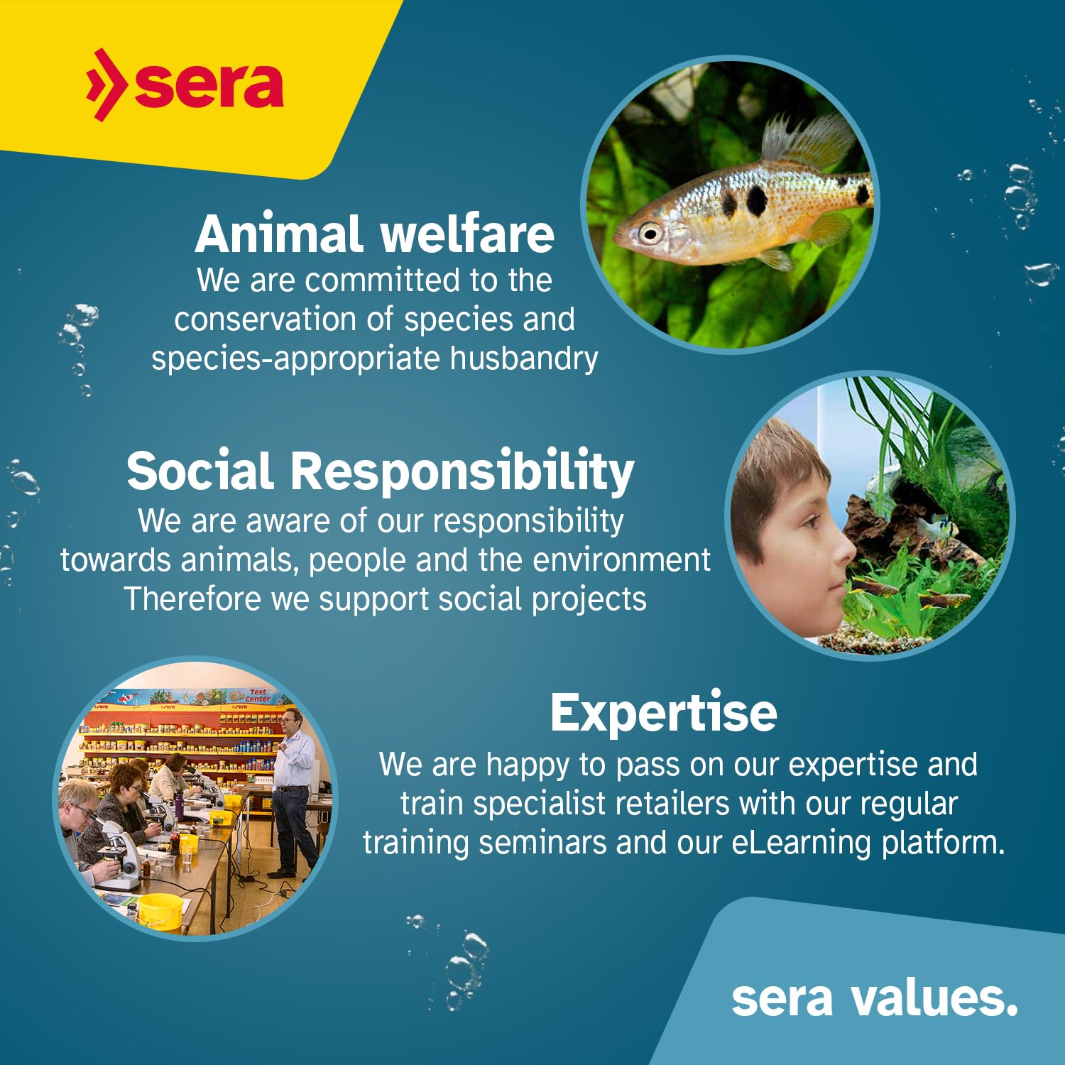 Sera Spirulina Tabs Nature 24% Spirulina nutritional information