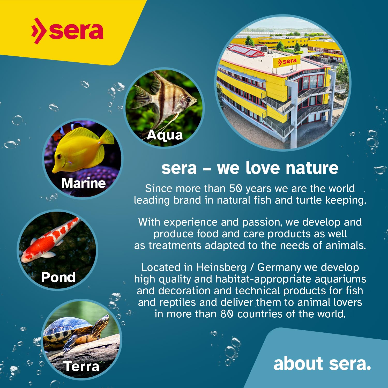 Sera Spirulina Tabs Nature 24% Spirulina tabs on aquarium glass