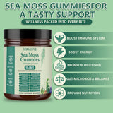 SERSANVE Sea Moss Gummy Vitamins gummies in a hand
