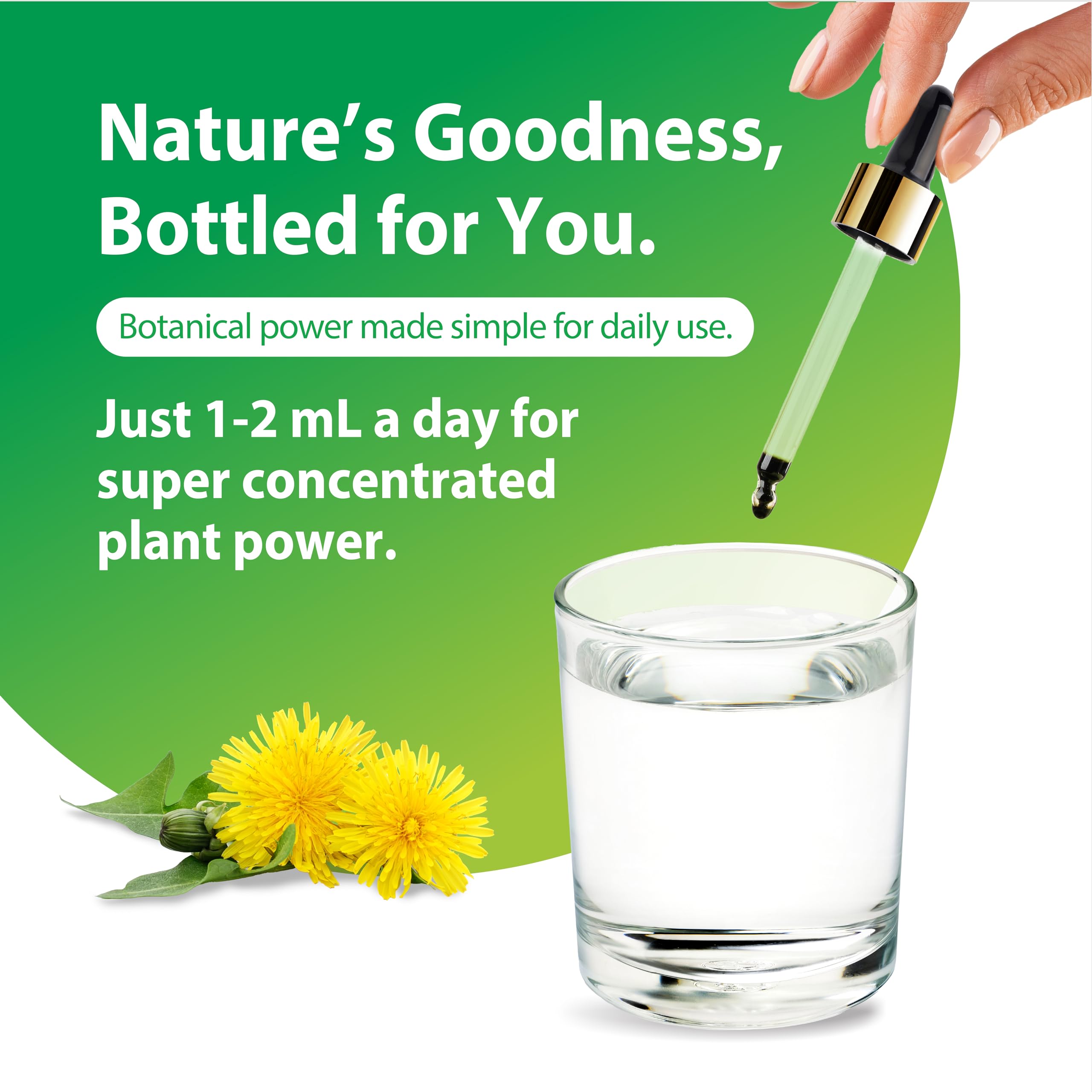 Serving suggestion for Rainbow Light Dandelion Root Liquid Extract in a glass