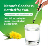Serving suggestion for Rainbow Light Dandelion Root Liquid Extract in a glass