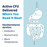 SFI Health Probiotic Capsules open bottle with capsules visible
