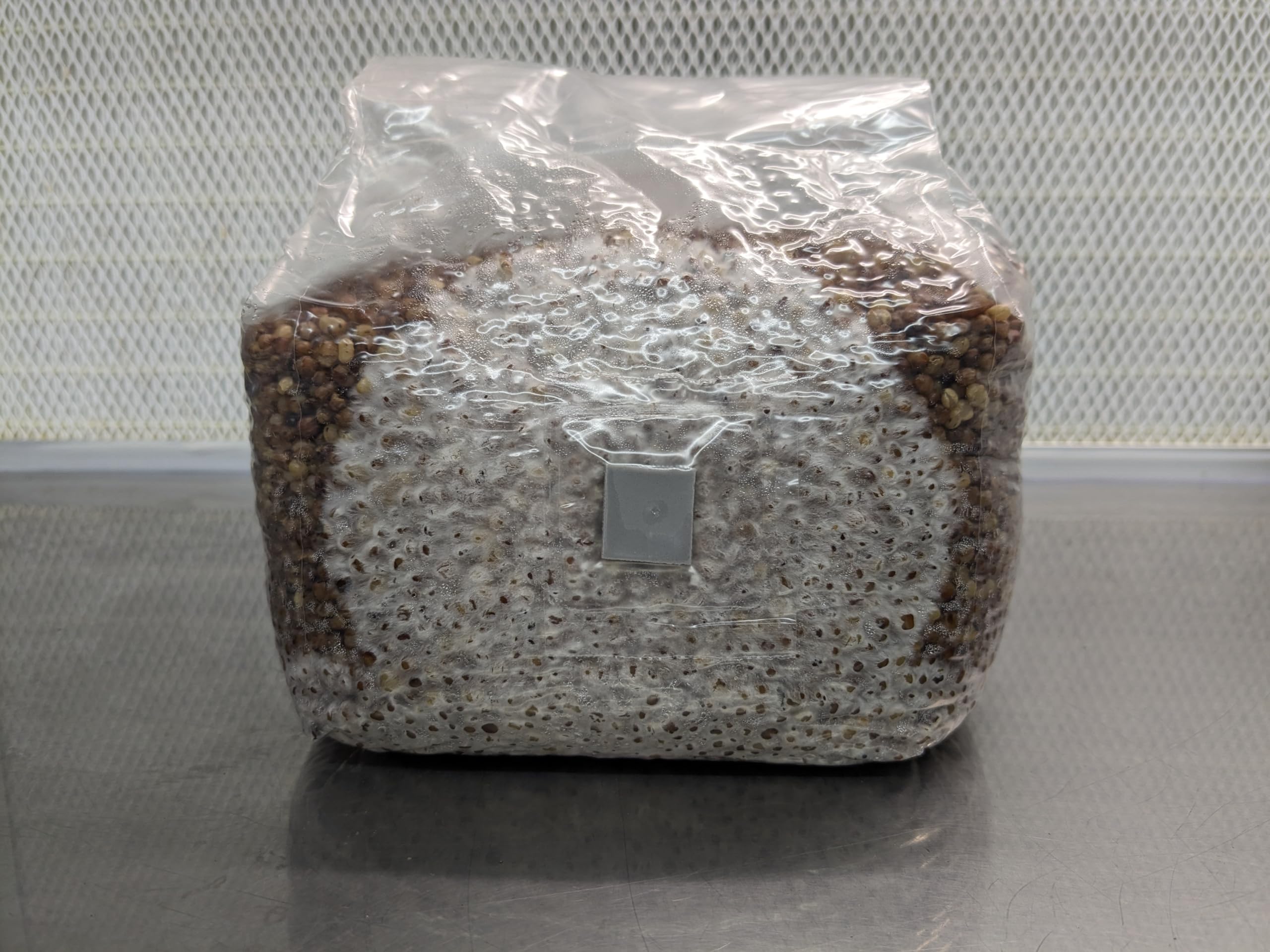 SGM LABS Sterilised Hydrated Grain Bag side view