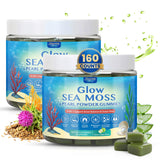 SHANDR Sea Moss Gummies front view with packaging