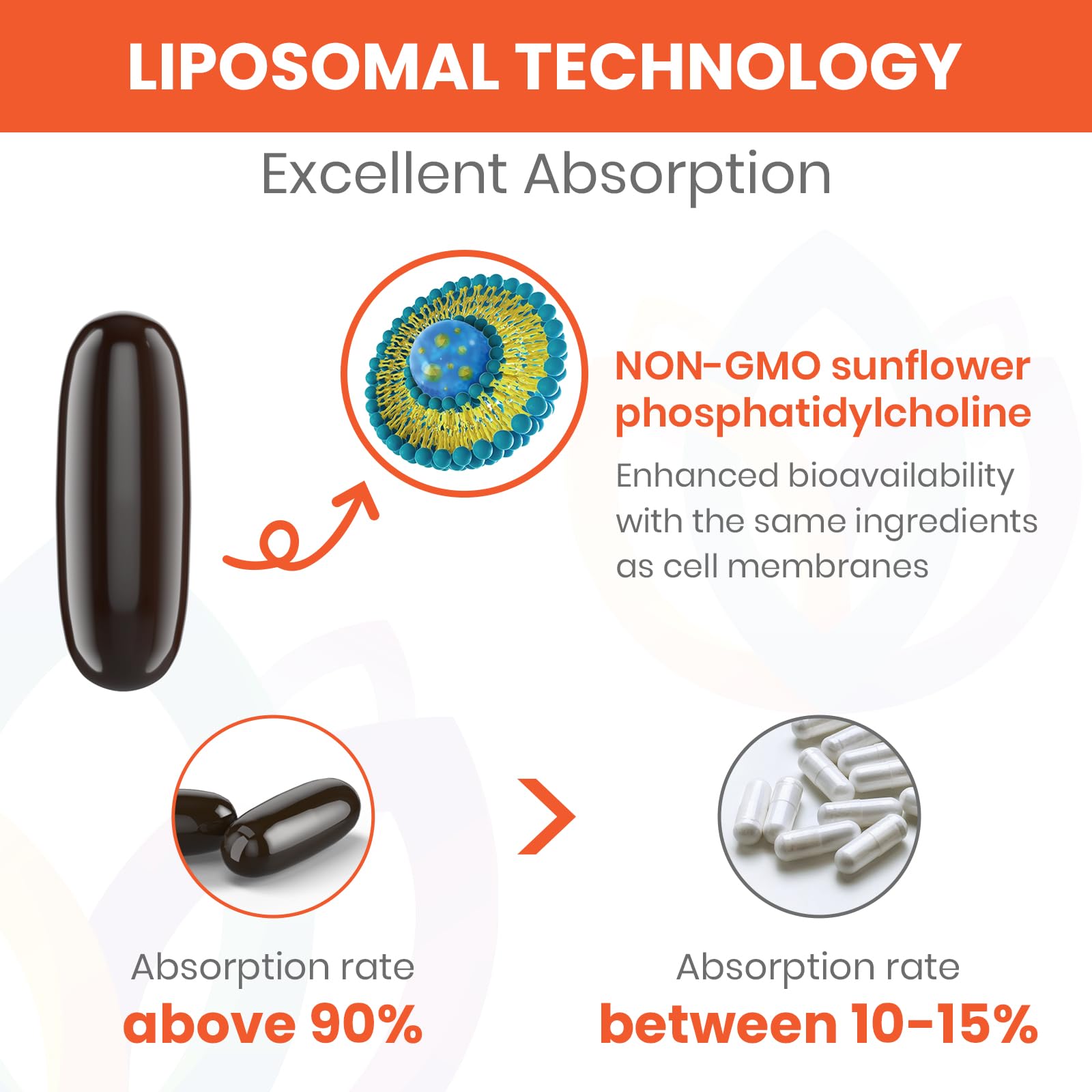 Sharoaid Liposomal Fisetin 1500mg softgels close-up of softgel