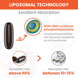 Sharoaid Liposomal Fisetin 1500mg softgels close-up of softgel