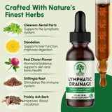 SHELTREE HEALTH Lymphatic Support Drops 30ml on a wooden table