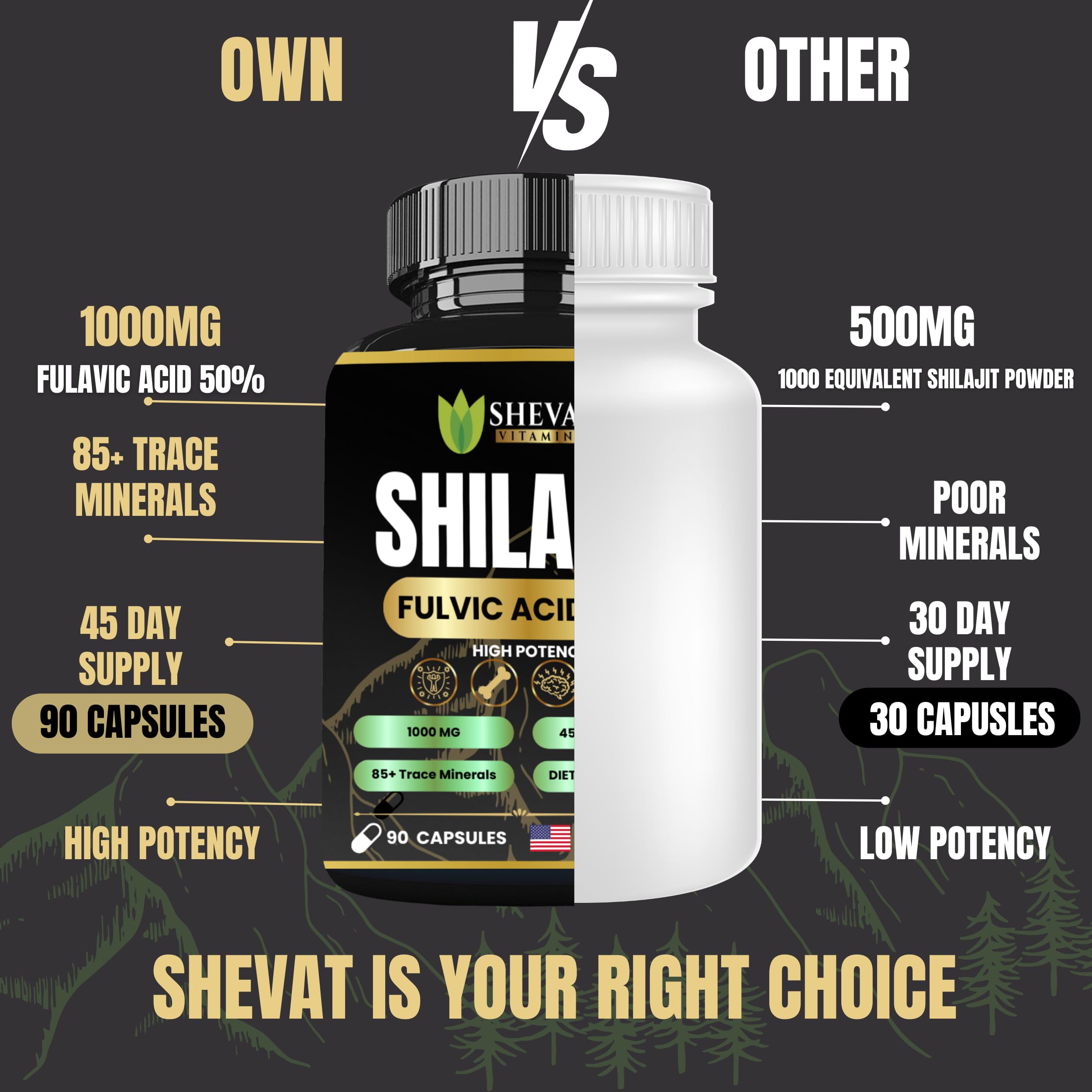 SHEVAT VITAMINS Shilajit Capsules 500mg lifestyle scene