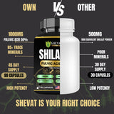 SHEVAT VITAMINS Shilajit Capsules 500mg lifestyle scene