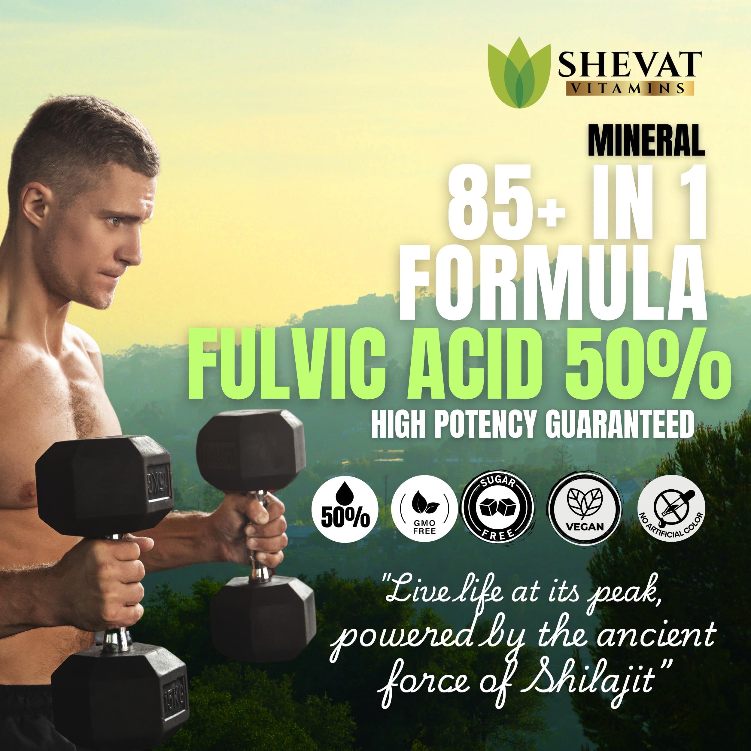 SHEVAT VITAMINS Shilajit Capsules 500mg side view