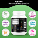 SHIFAA NUTRITION Collagen Powder 454g in a kitchen setting