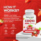 Shiny Leaf CoQ10 100mg chewable supplements side view