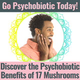 SHIZAM 17 Mushroom Complex Gummies ingredients list