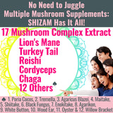 SHIZAM 17 Mushroom Complex Gummies side view