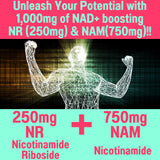 SHIZAM Cell Renewal Gummies nutritional information