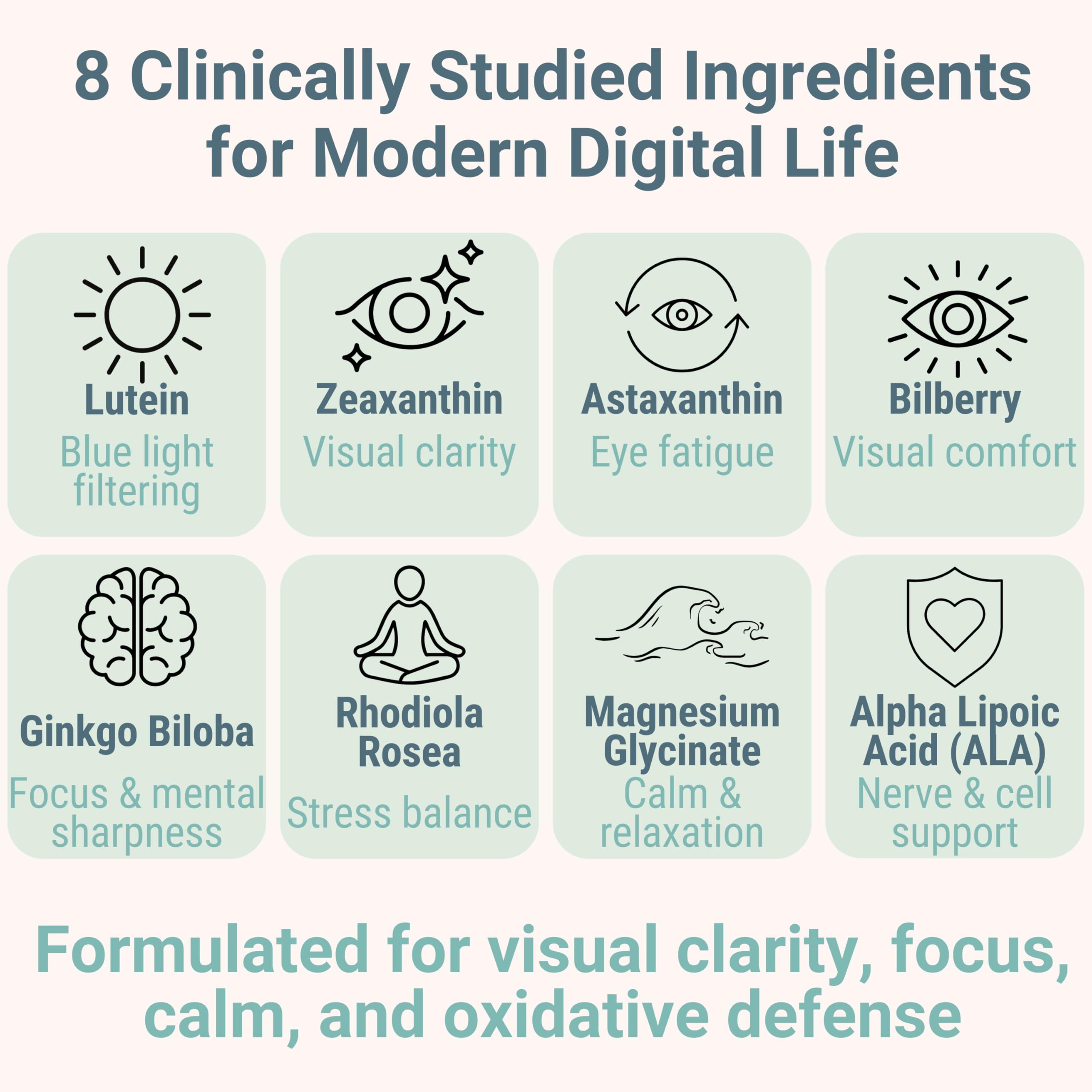 SHIZAM Daily Wellness Gummy Supplement ingredients list