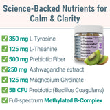 SHIZAM gummies showing L-Tyrosine and L-Theanine ingredients