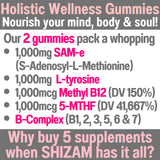 SHIZAM Wellness Gummies nutritional information label