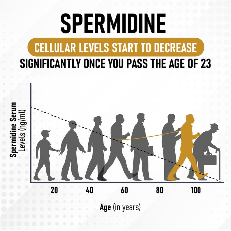 Shrink Spermidine Supplement 60 Capsules on a table