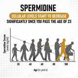 Shrink Spermidine Supplement 60 Capsules on a table