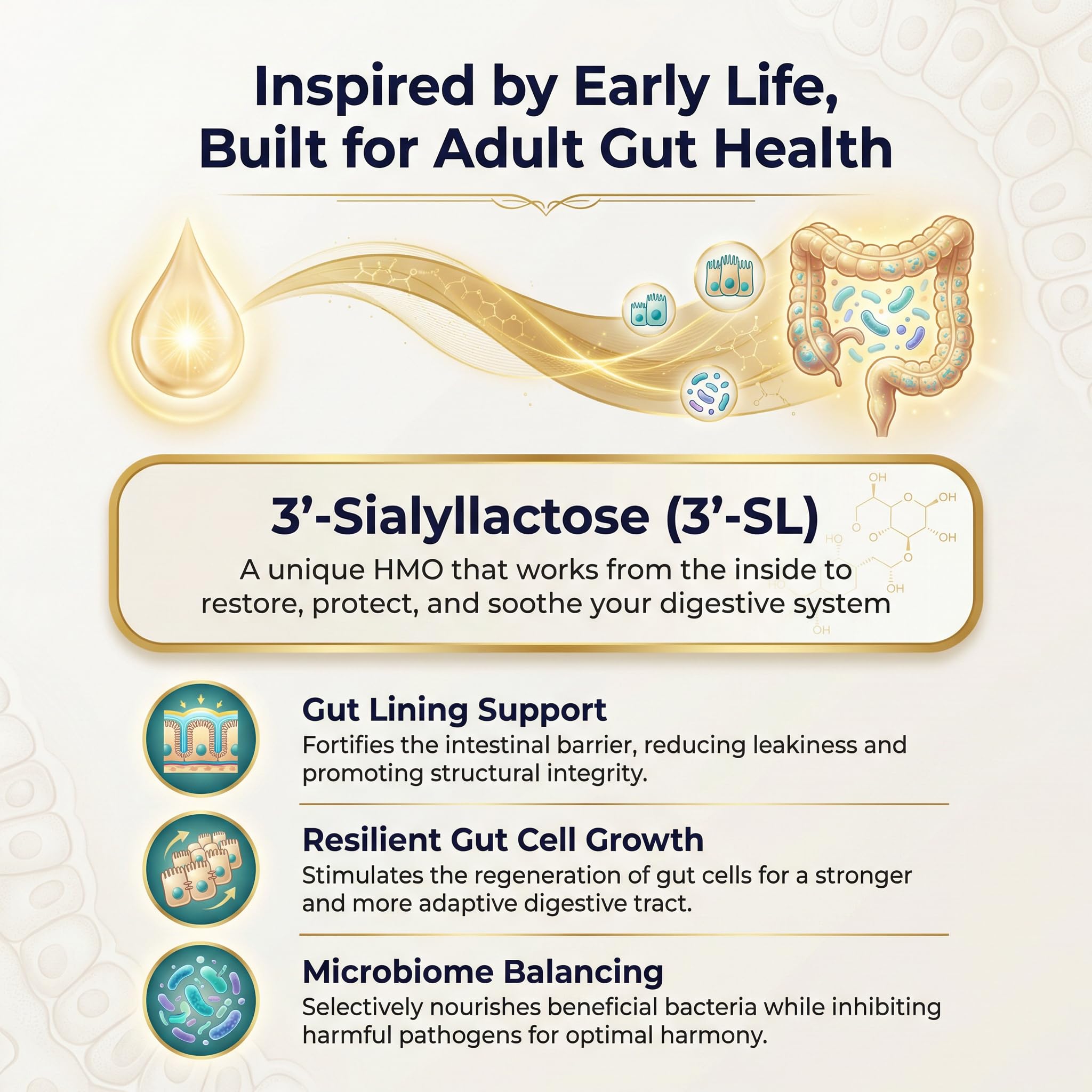 SIALLAC Prebiotic 3'-Sialyllactose 60g with measuring scoop