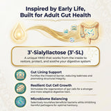 SIALLAC Prebiotic 3'-Sialyllactose 60g with measuring scoop