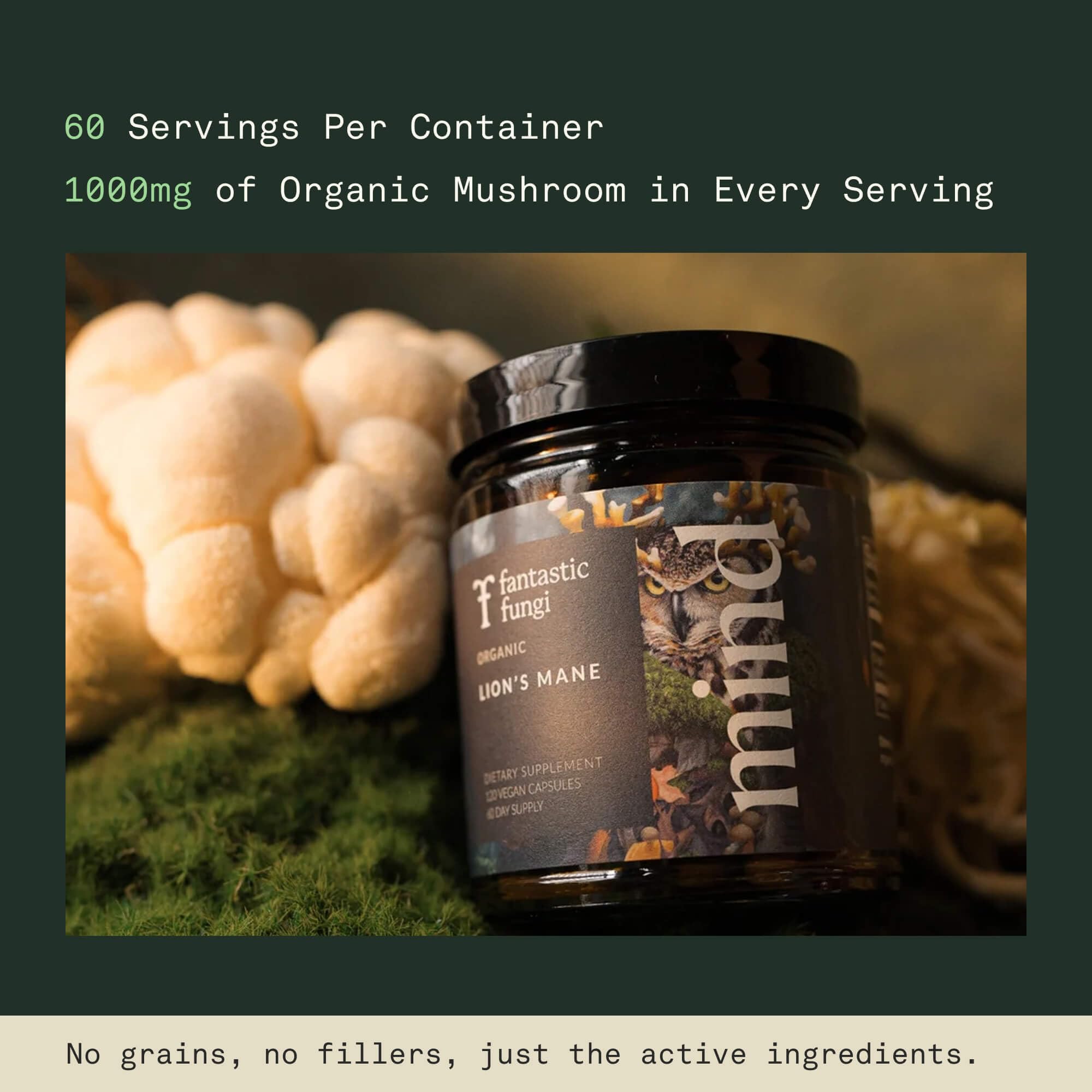Side view of Fantastic Fungi Lion's Mane Mushroom Capsules bottle
