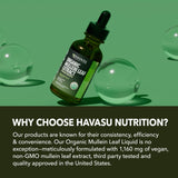 Side view of HAVASU NUTRITION Organic Mullein Leaf Extract