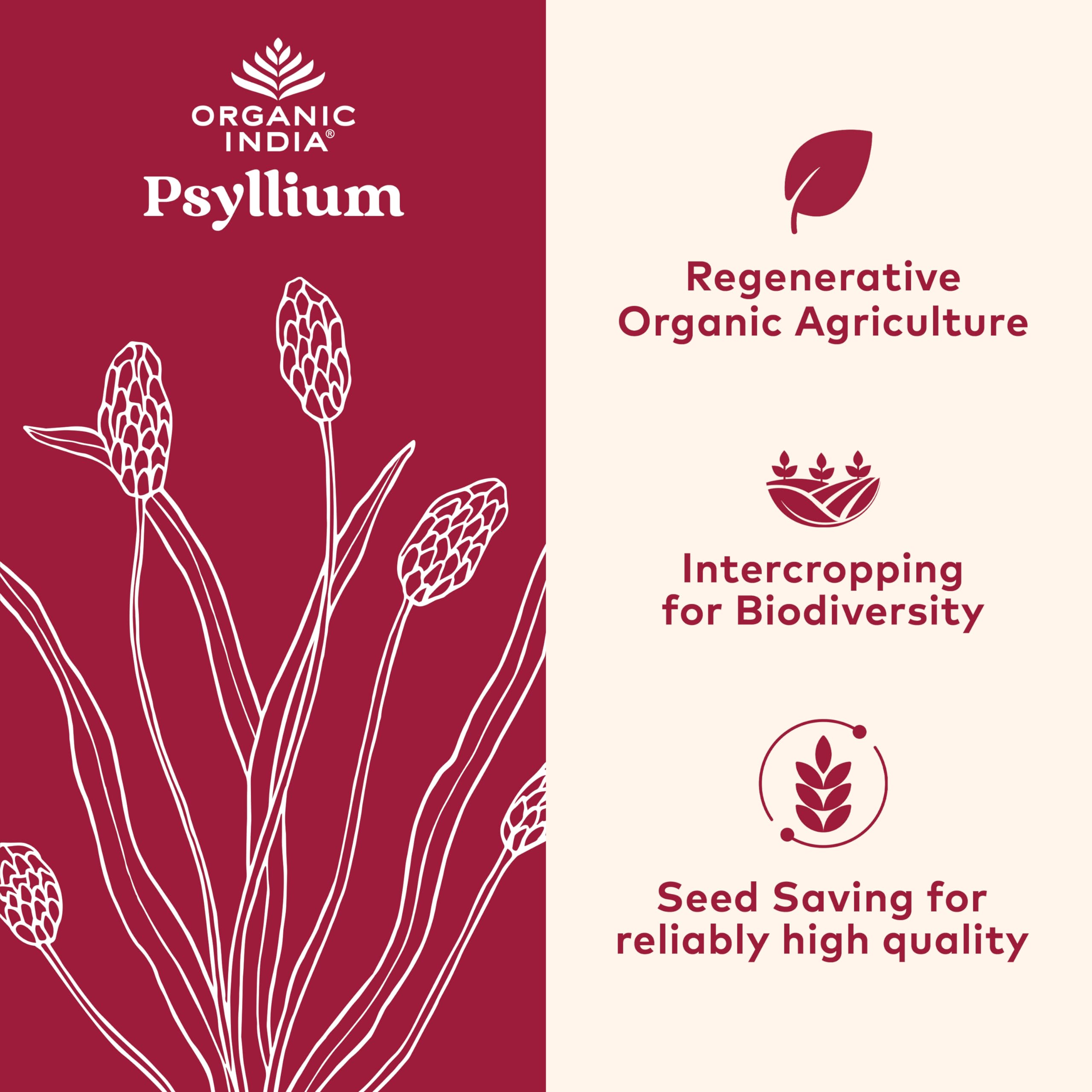 Side view of ORGANIC INDIA Psyllium Whole Husk 980g container