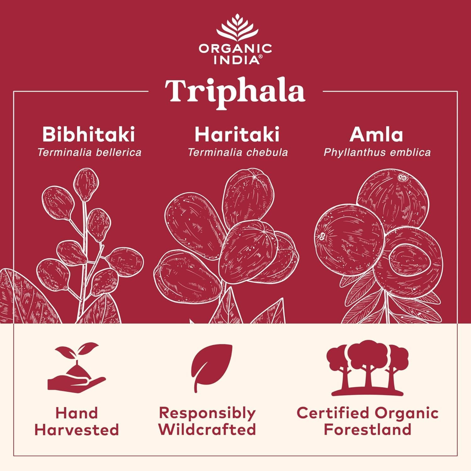 Side view of ORGANIC INDIA Triphala bottle